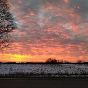 Meet your Posher, Joanne